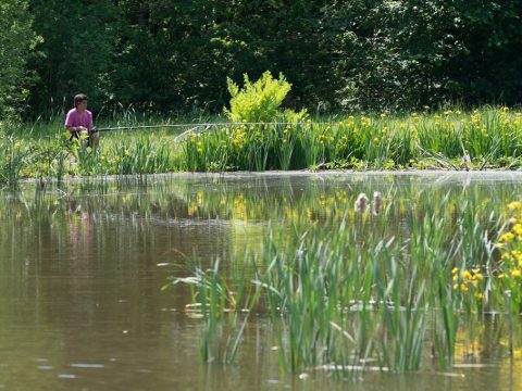 Ardoer Vakantiepark Rheezerwold